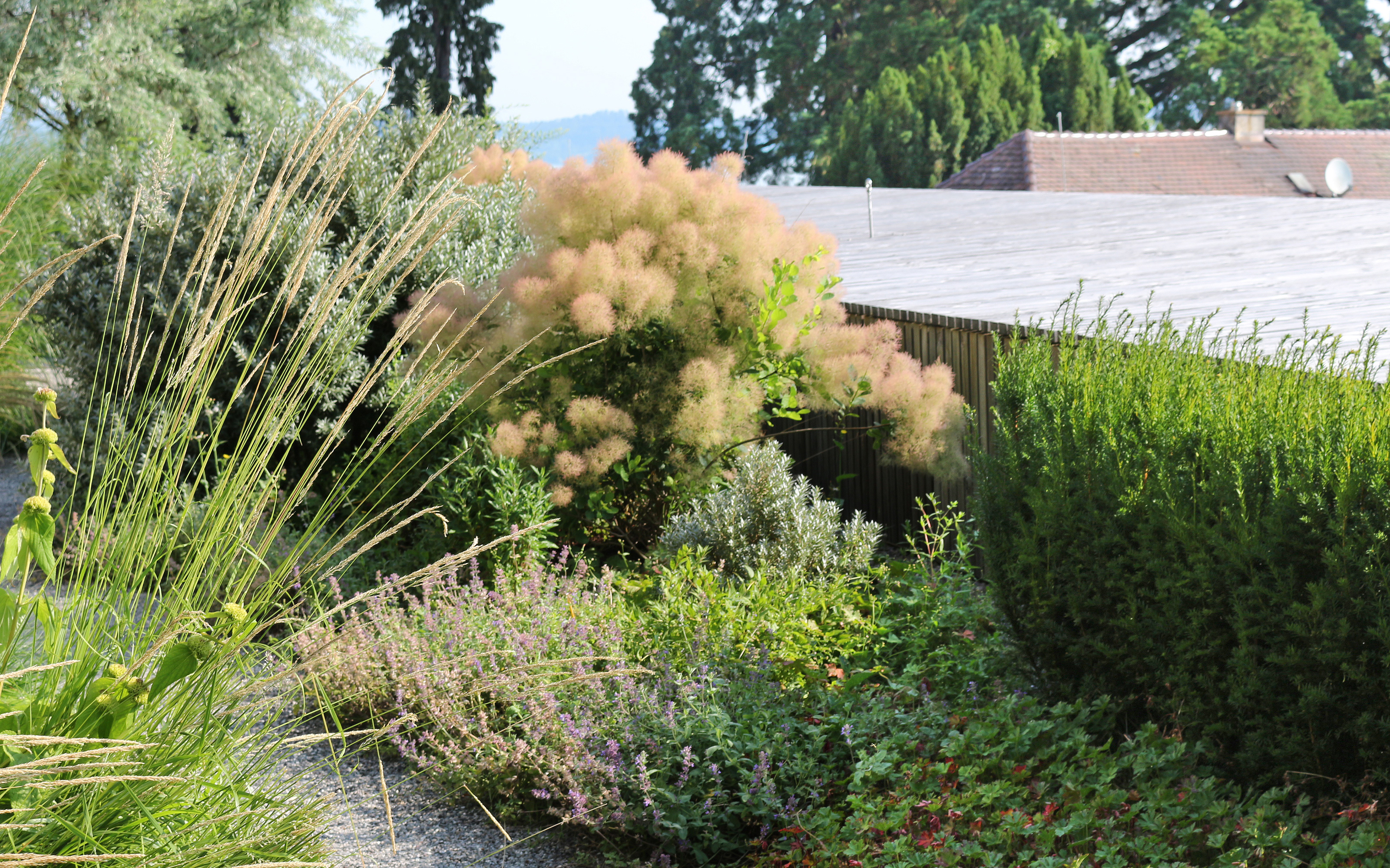 More than 12,000 plants and over 200 species were planted on the roof.  Lucious vegetation